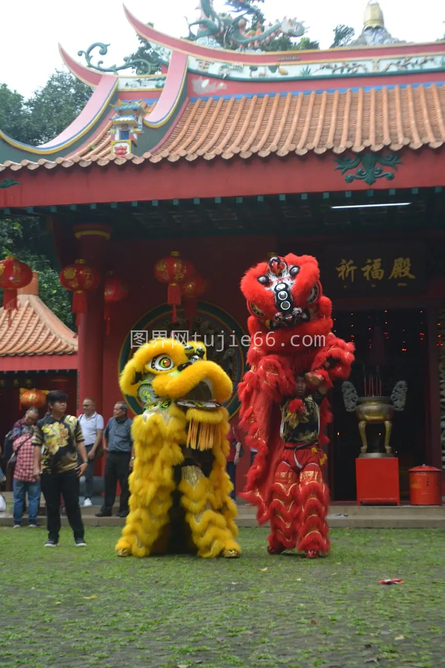 印尼雅加达寺庙新年舞狮图片