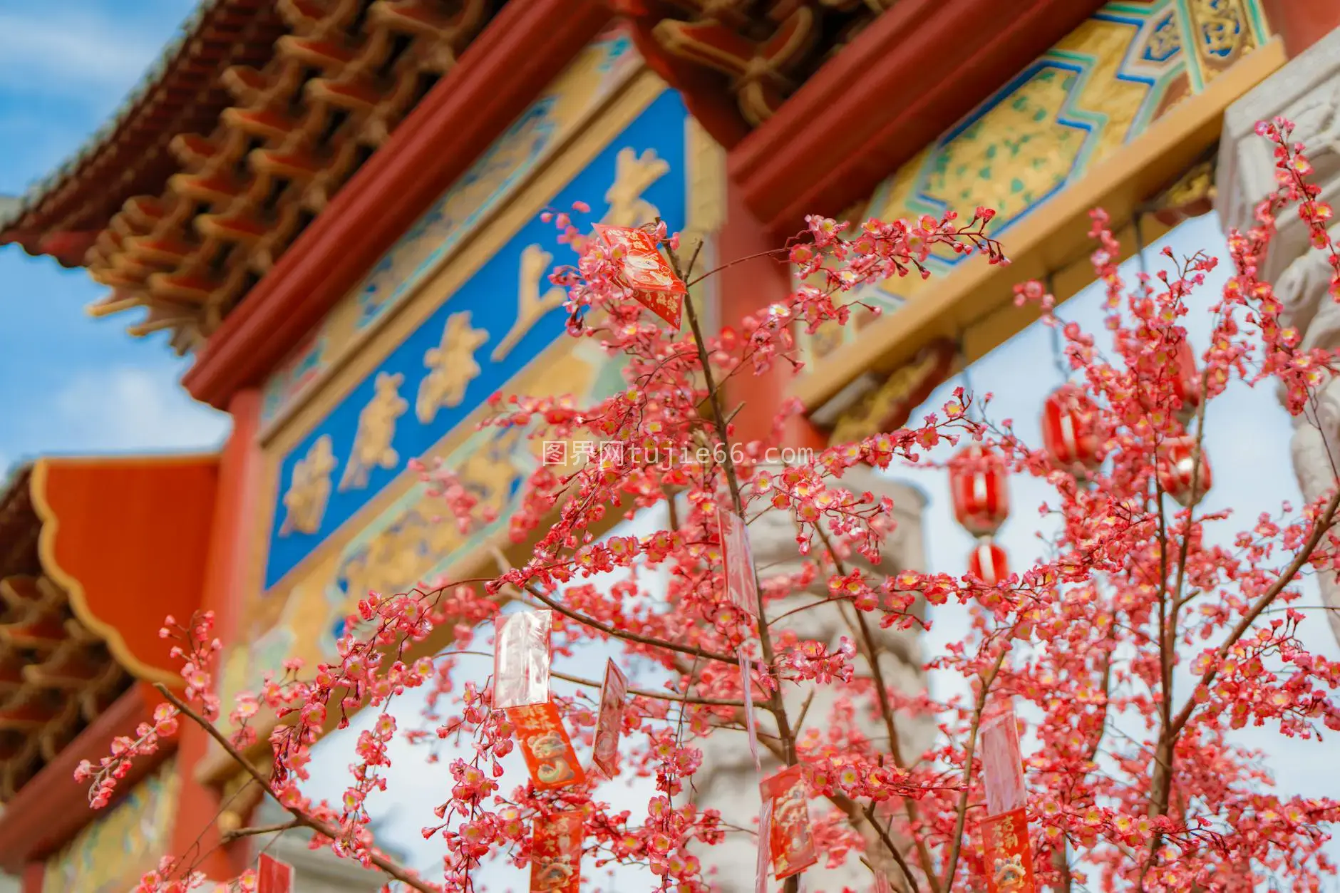 雅加达春节花朵传统建筑景致图片