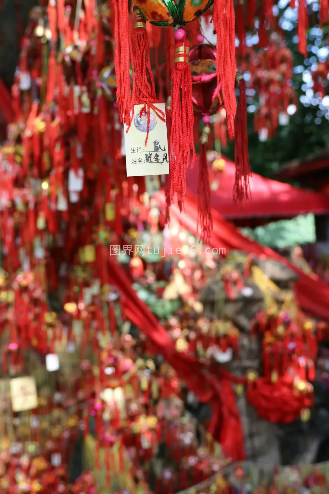 红色流苏美物呈现图片