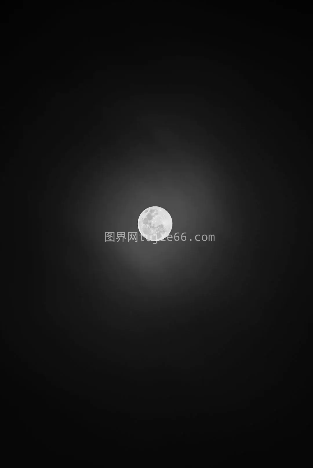 黑白满月图片呈现夜空之韵图片