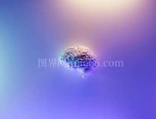 蓝绿孔雀羽毛映像美