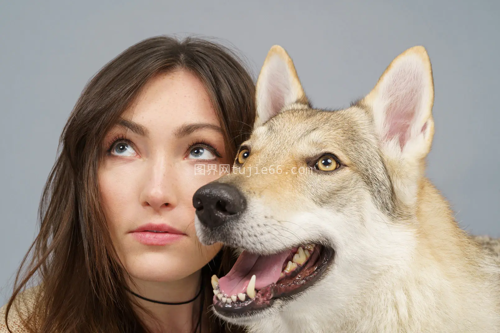 女主与爱犬亲密瞬间图片