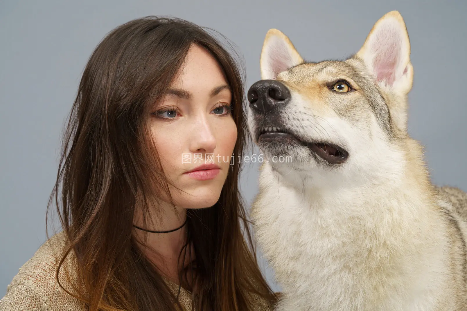 女主近距离赏爱犬图片