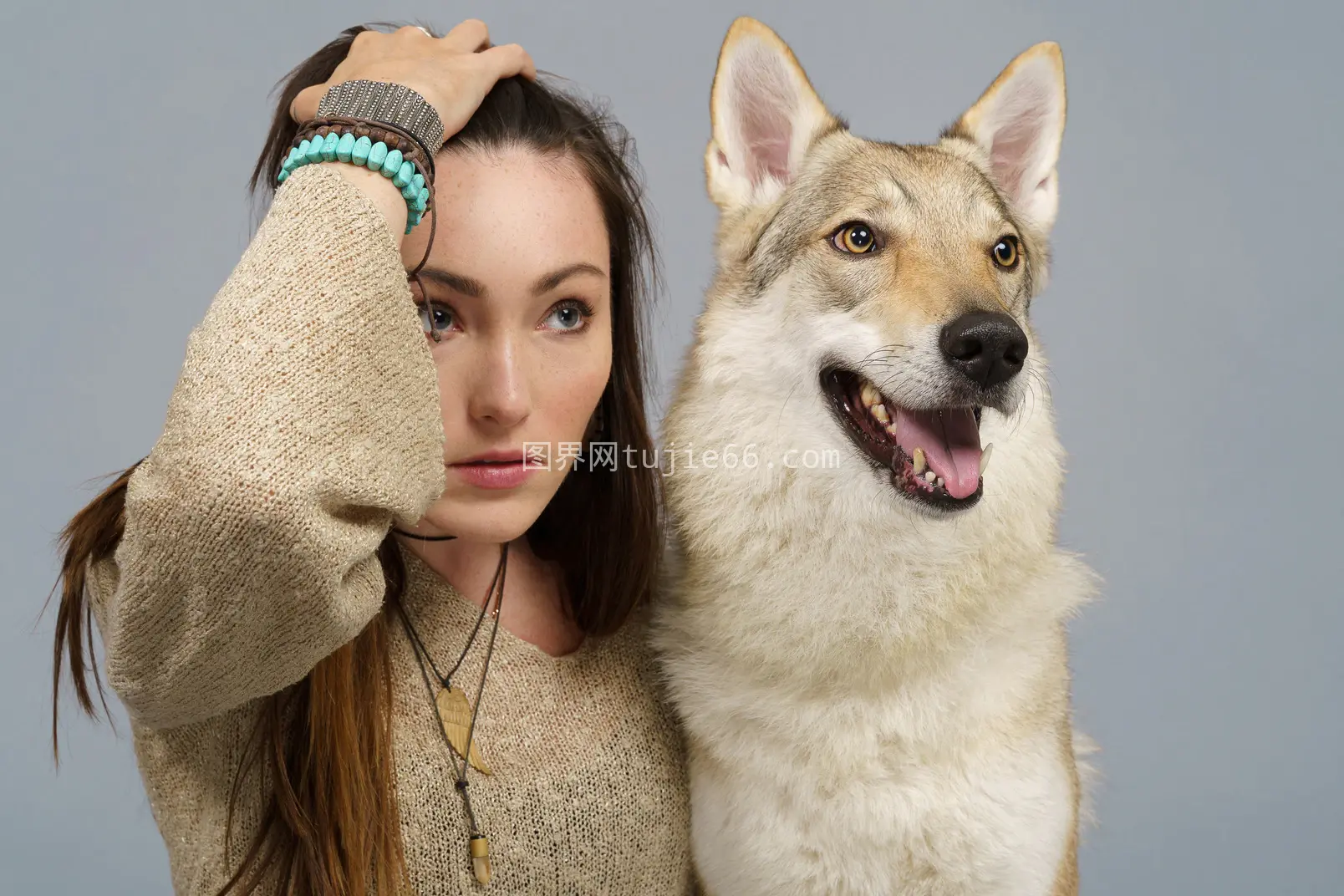 女主与爱犬对视镜头图片