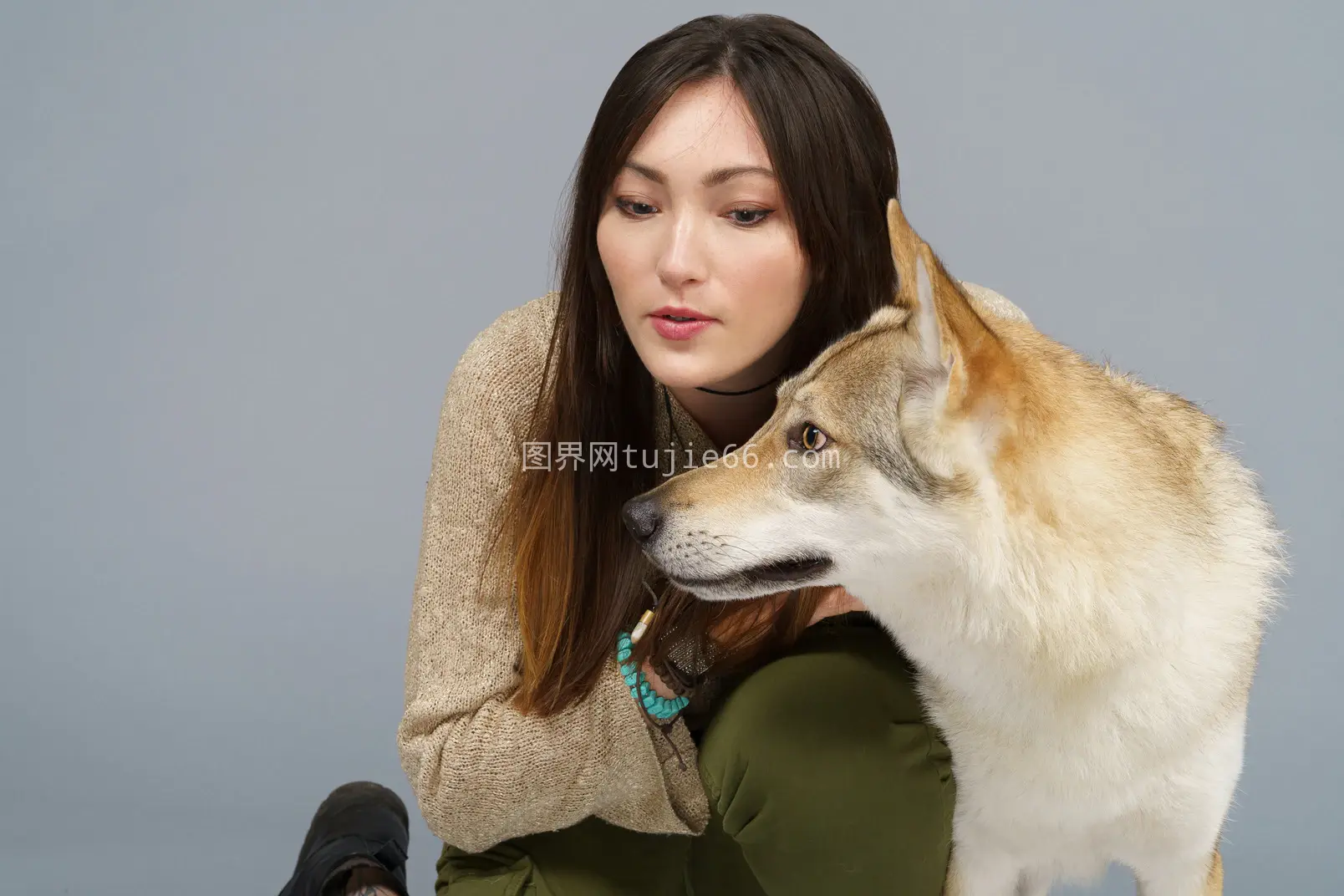 女主细看爱犬瞬间图片