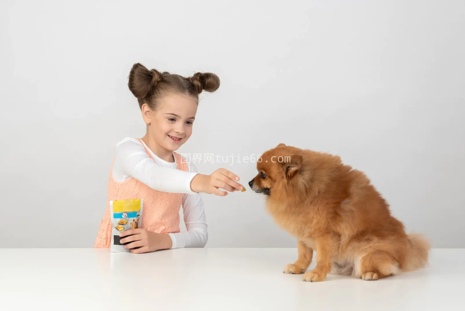 狗狗享美食画面温馨图片