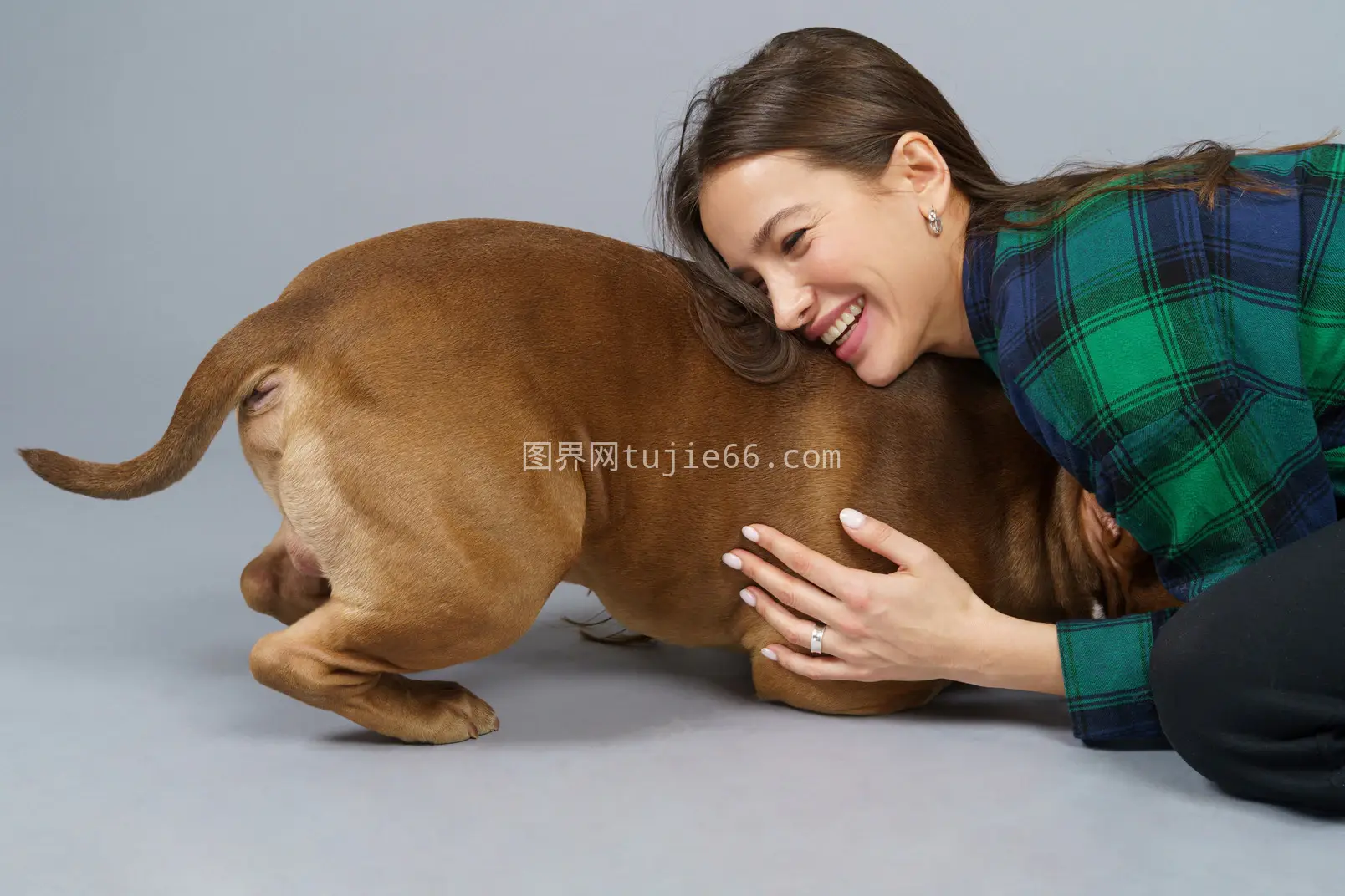 少女格子衫拥抱棕斗牛犬图片