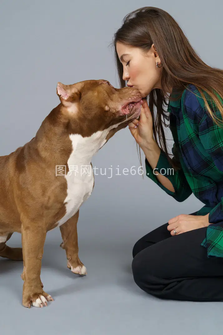 女性亲吻斗牛犬特写图片