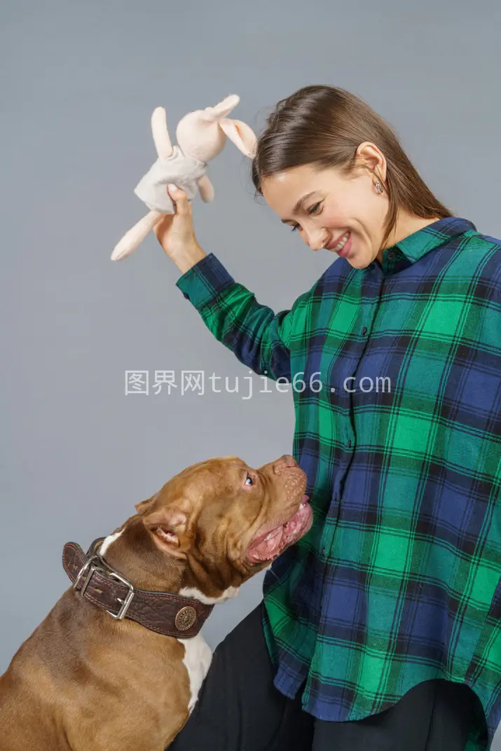 棕色斗牛犬与微笑女主人欢乐互动图片