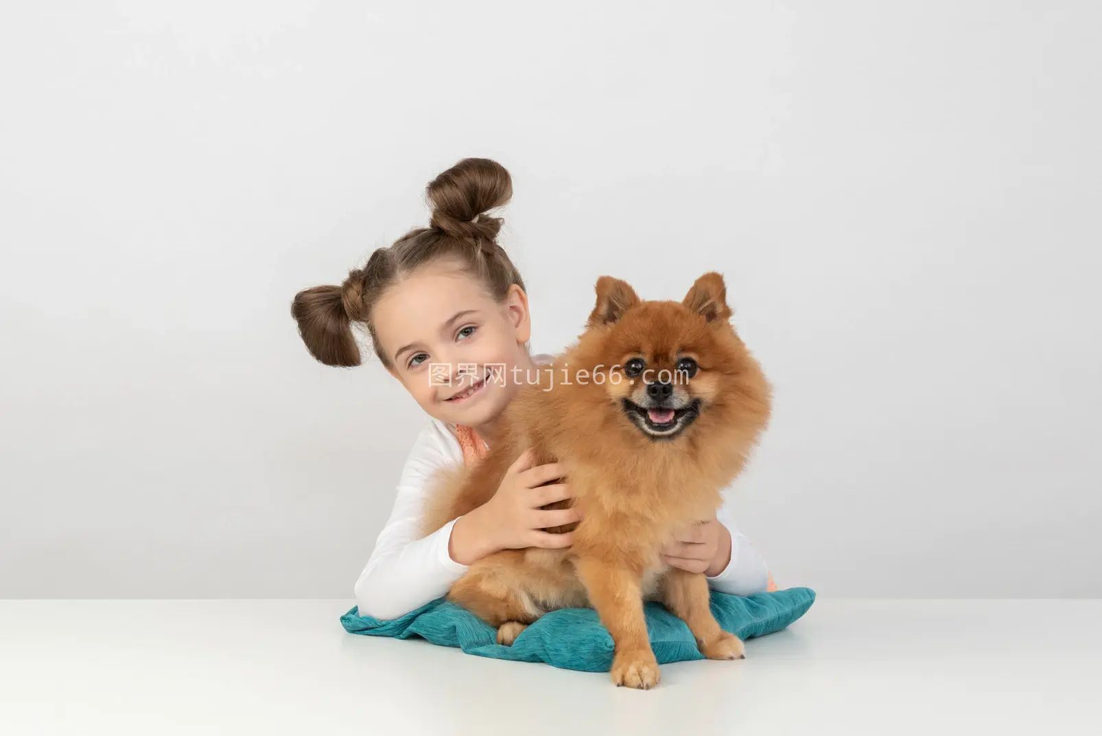 女孩与蓝枕贵宾犬温馨相拥图片