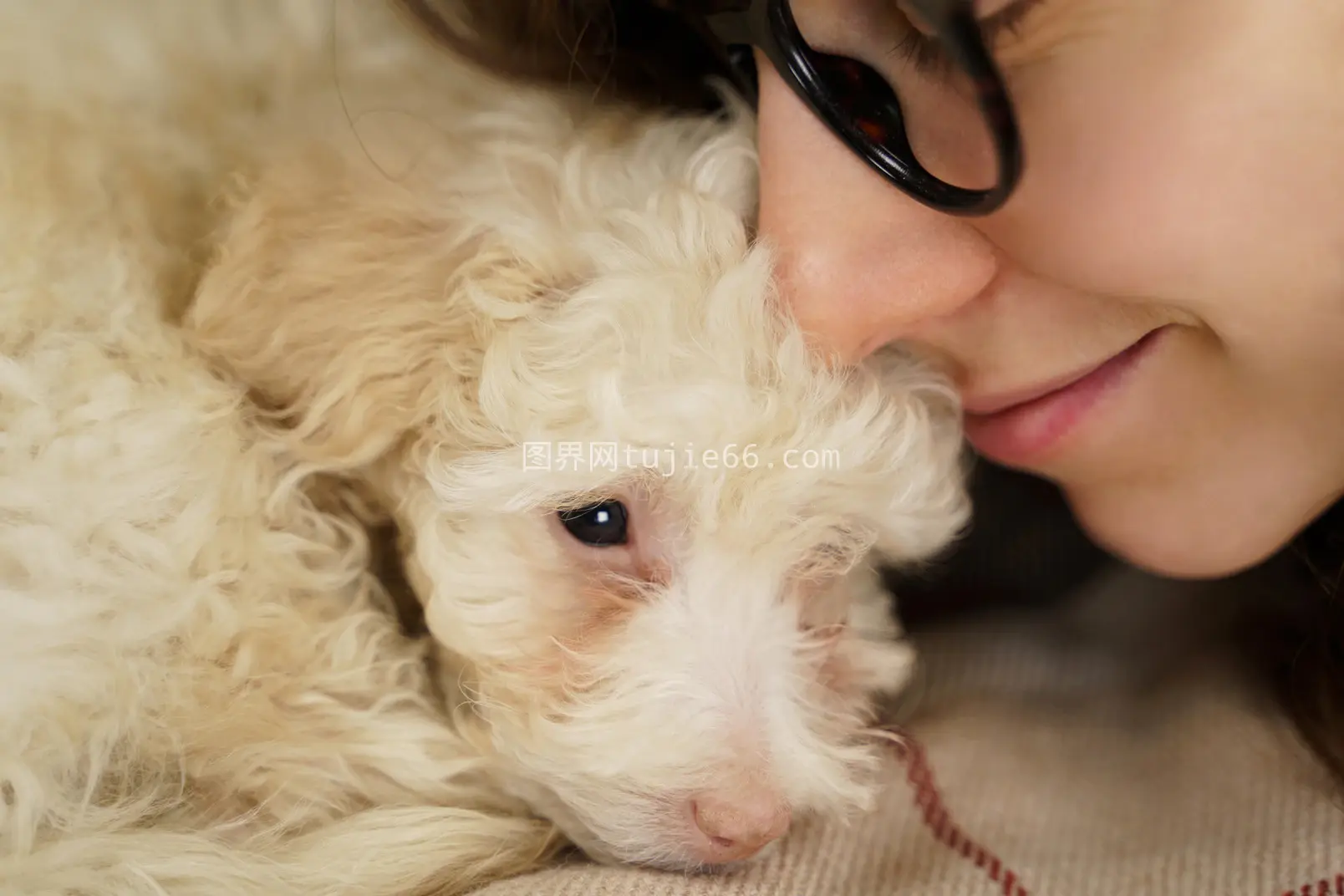 眼镜女孩吻贵宾犬图片