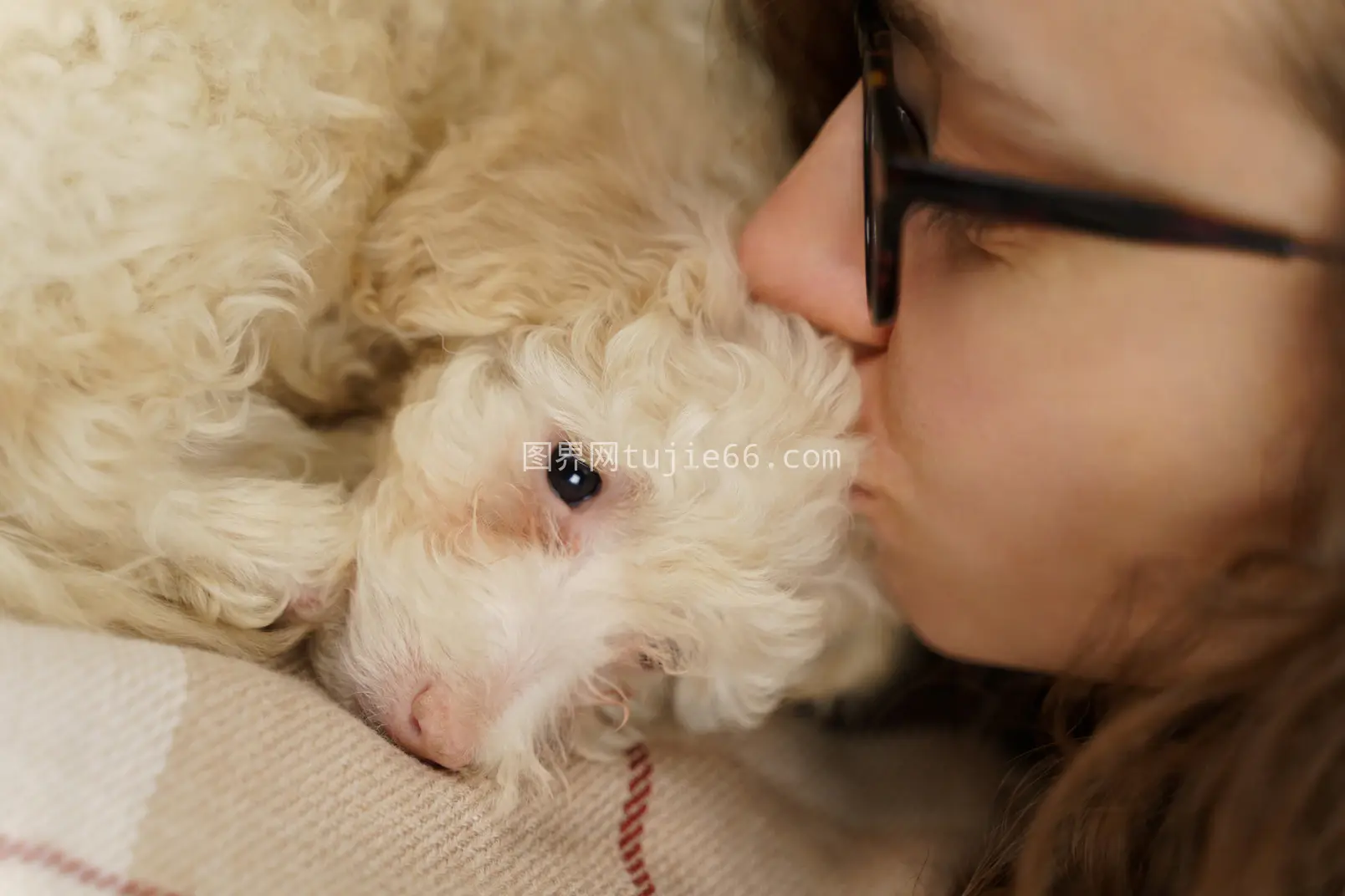 眼镜美女亲吻小贵宾犬温馨瞬间图片