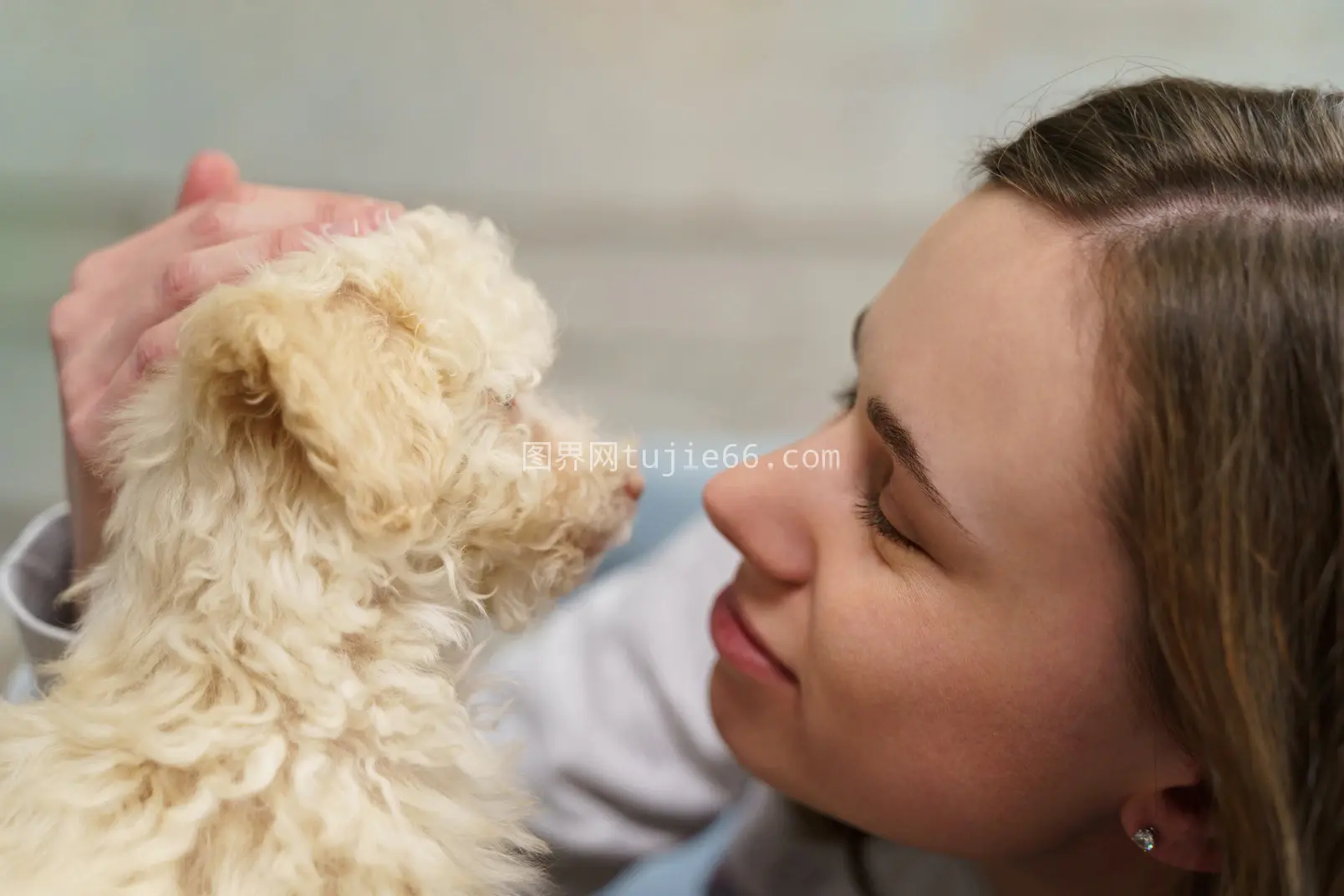 少女与贵宾犬亲密依偎图片