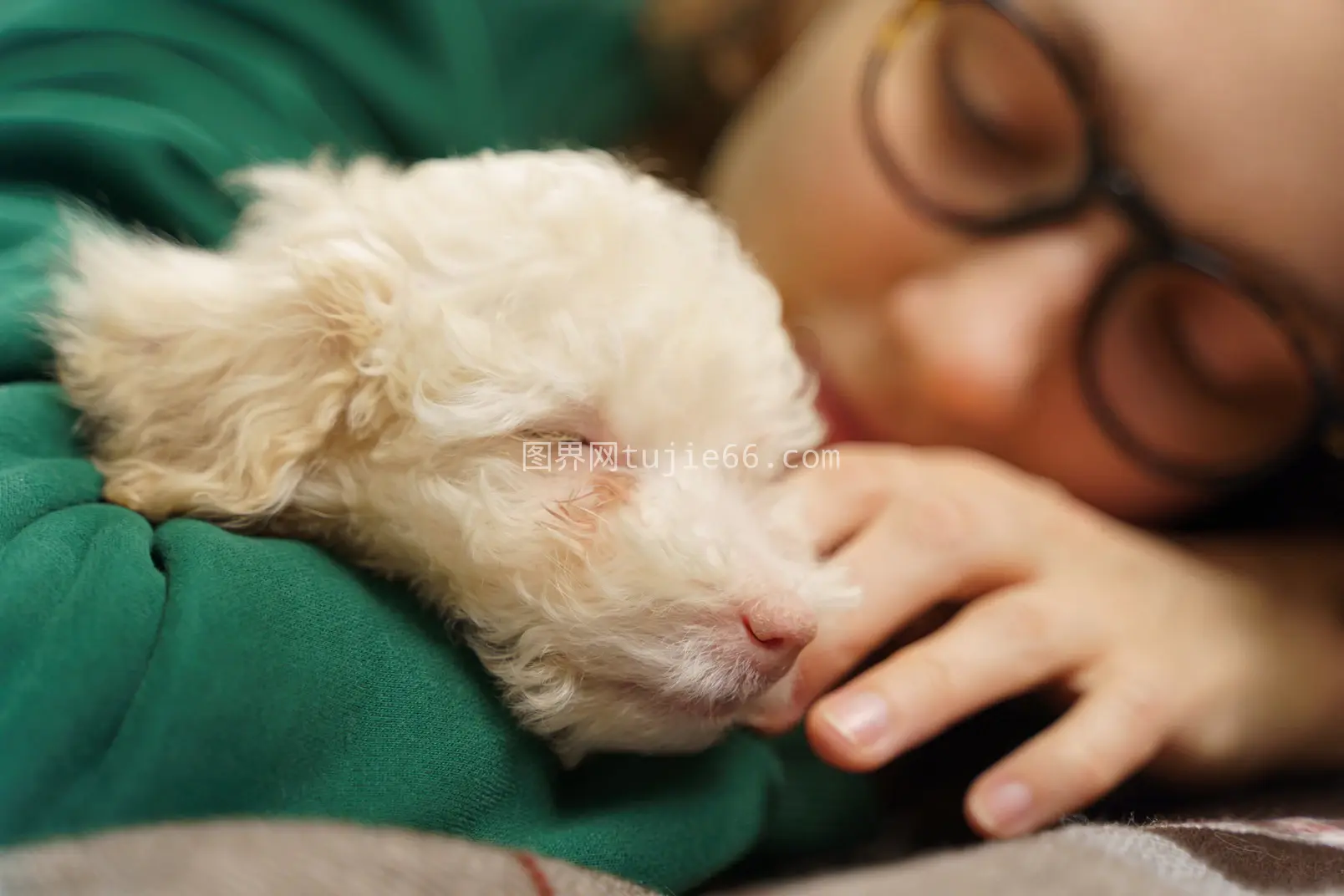 眼镜女与贵宾犬亲密镜头图片