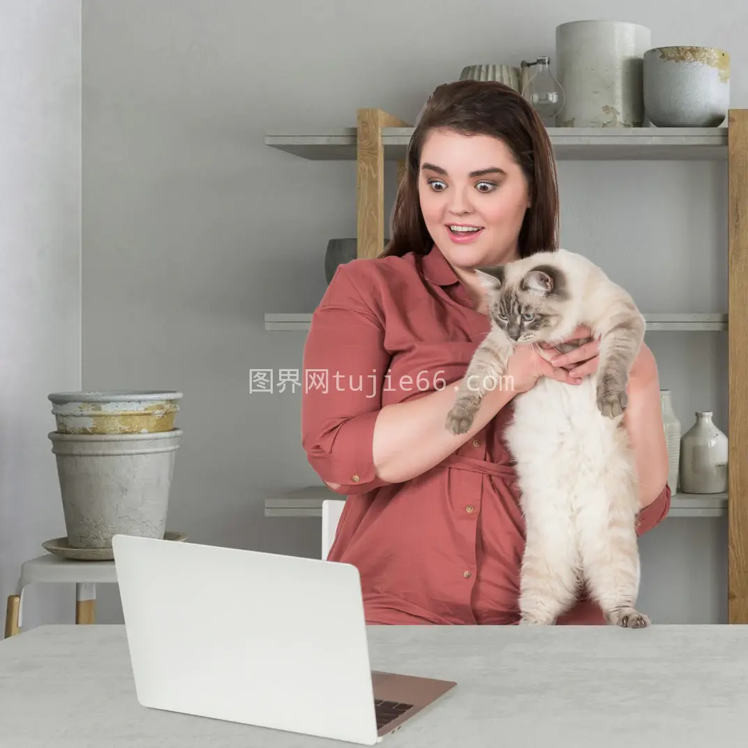 女士抱猫电脑前图片