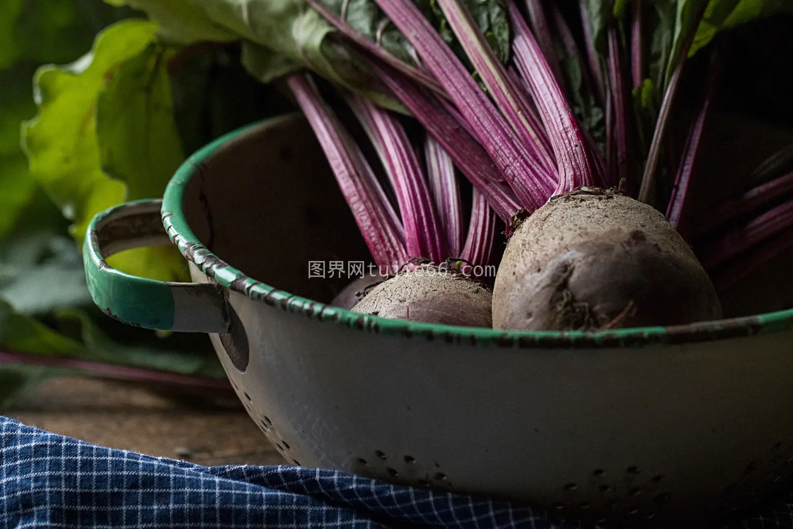 美食探秘之旅图片