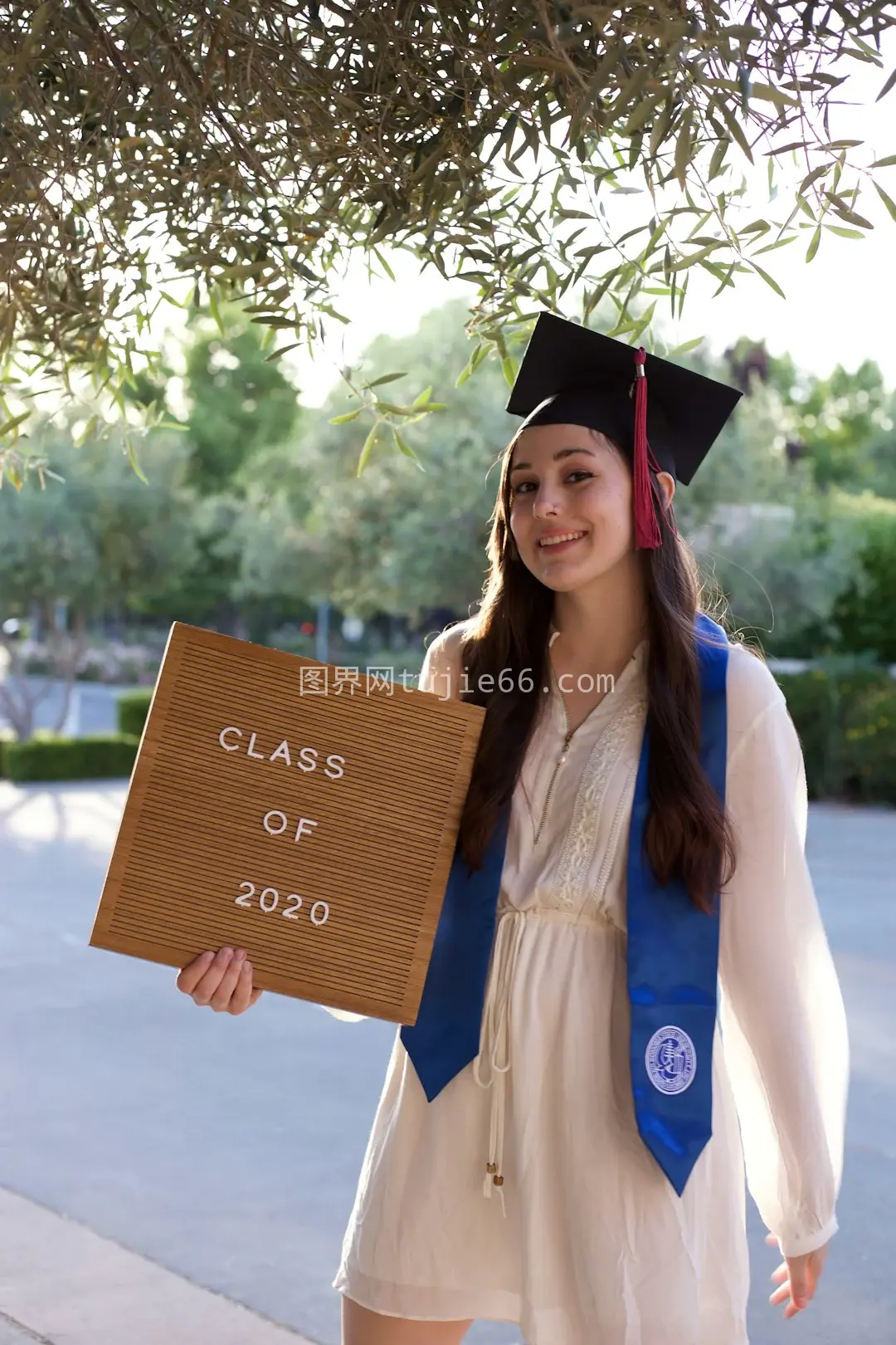 女性手持棕色木板蓝袍学术装图片