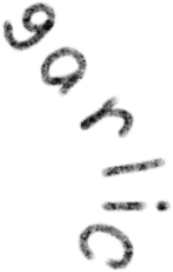 大蒜字母艺术设计展示图片