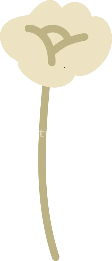 花朵色彩斑斓美不胜收图片