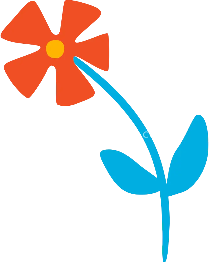 花卉之美自然绽放图片