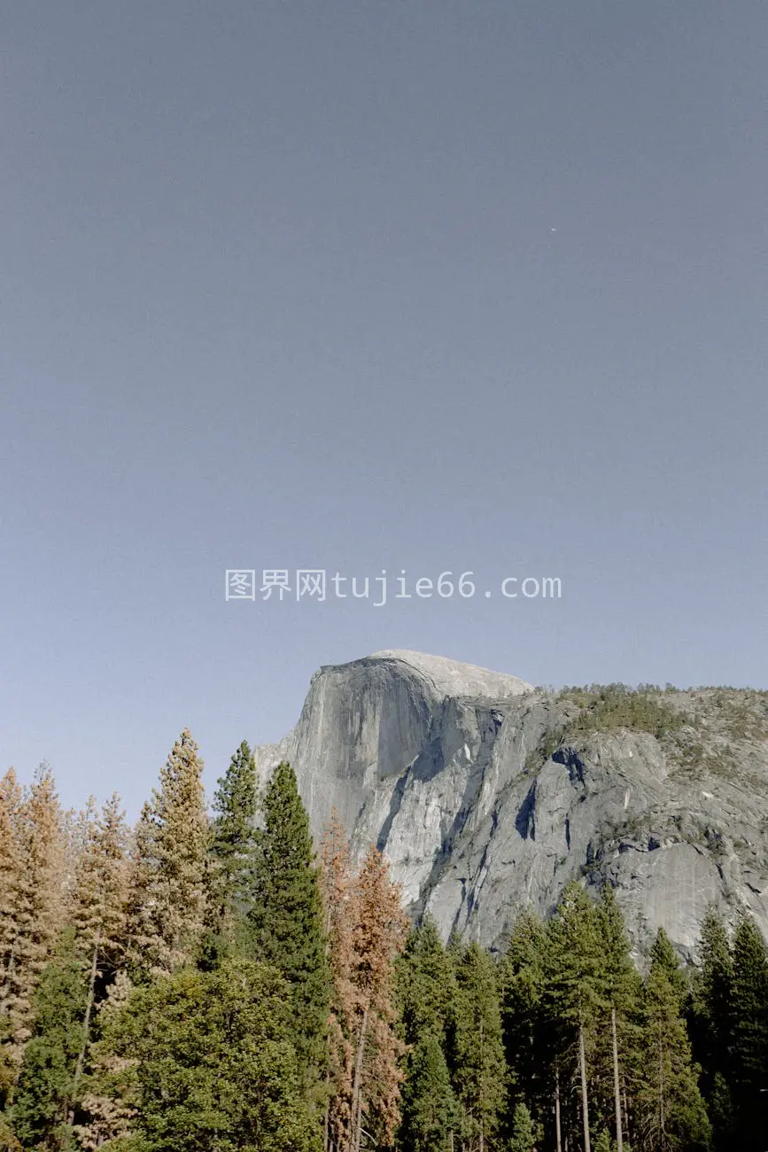 优胜美地半圆顶白天森林前景美景图片