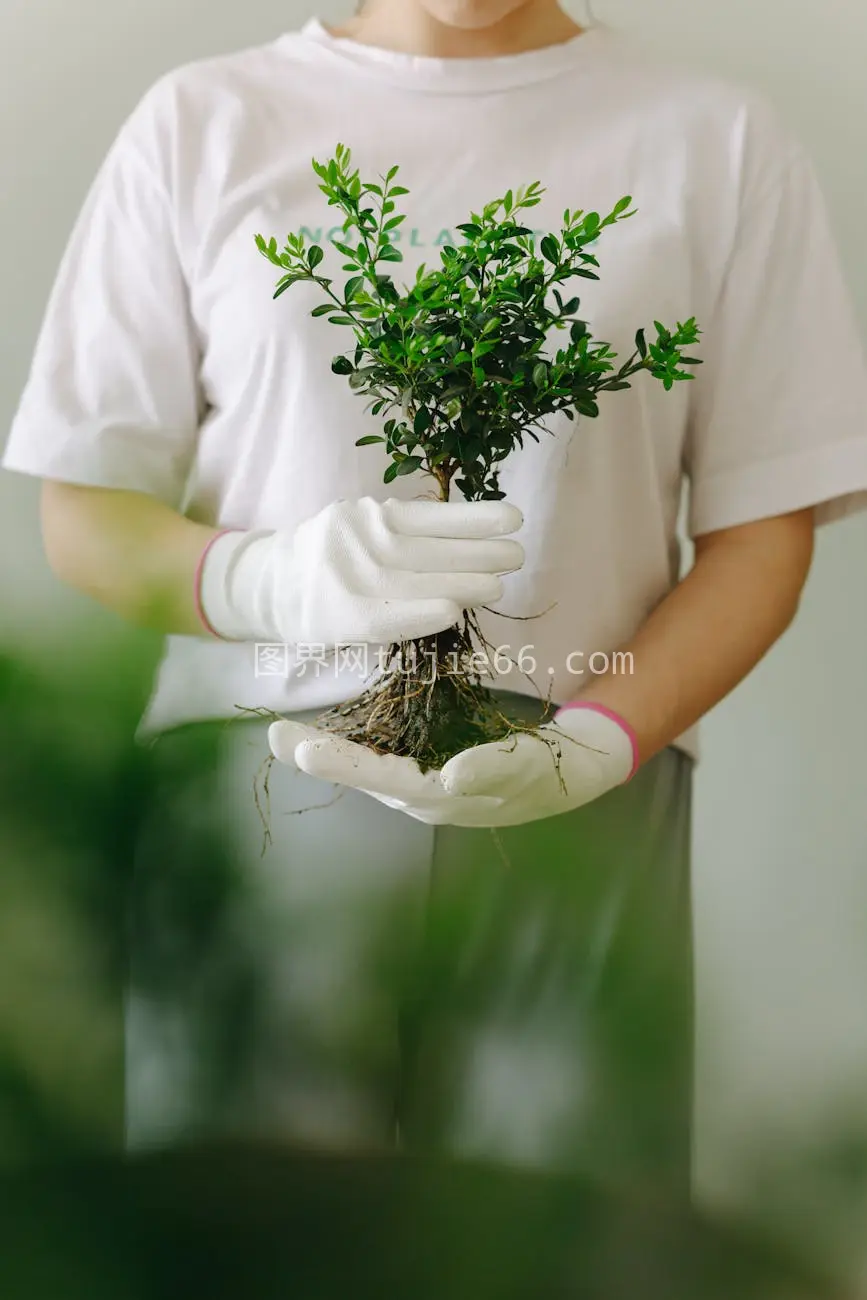 人物手套持绿植颂可持续关怀图片