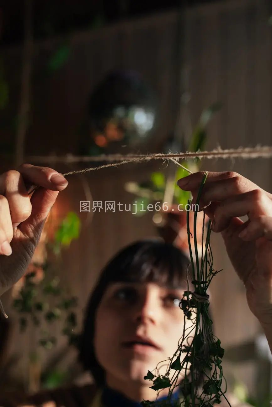 女性照料室内植物专注瞬间图片