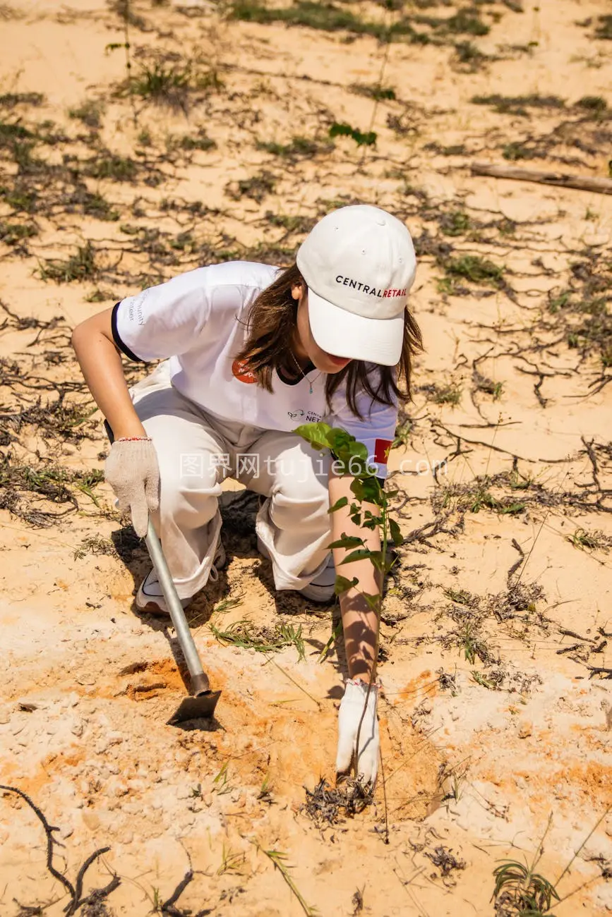 藩切特干旱地女性植树环保行动图片