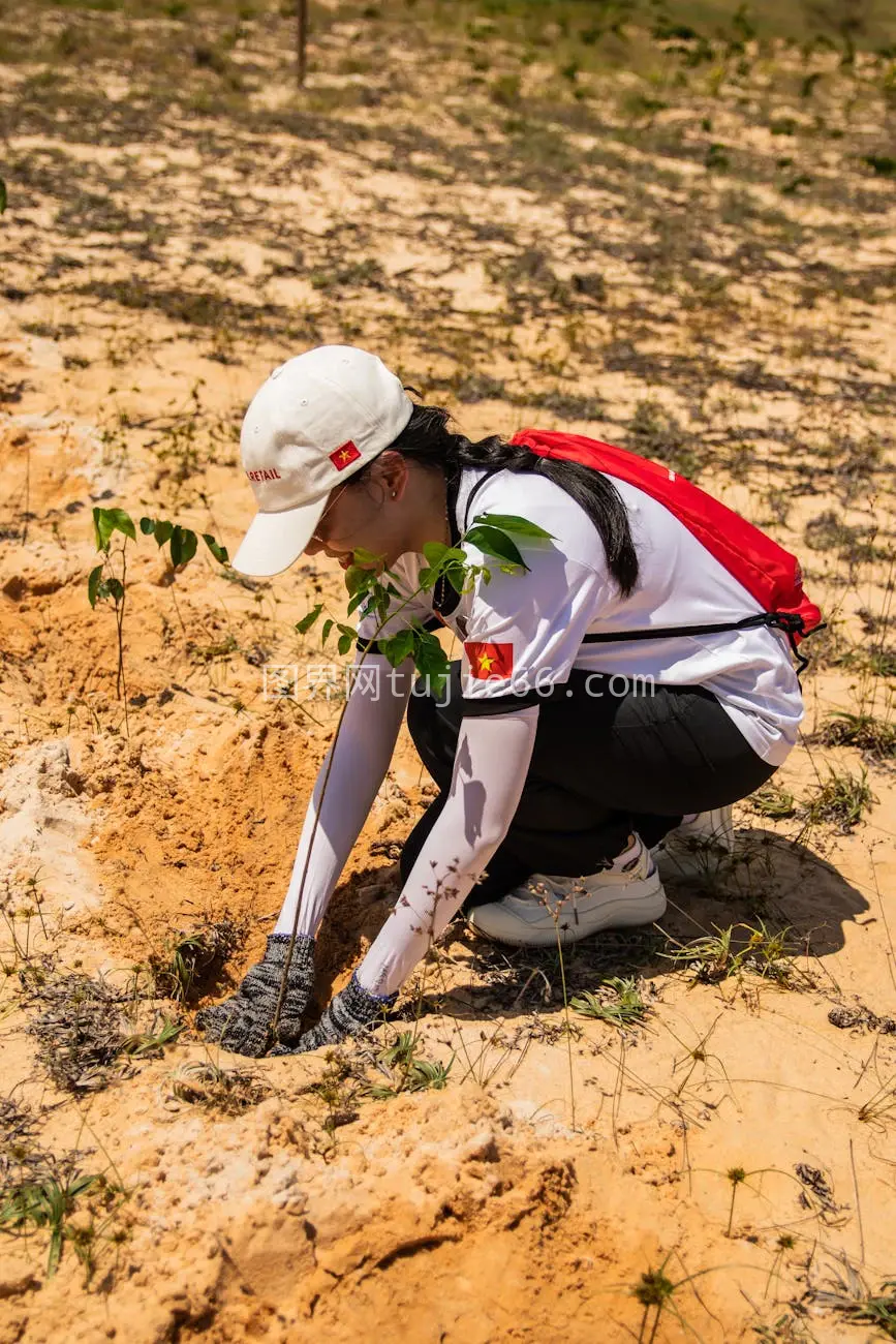 志愿者潘切特沙地植树环保行动图片