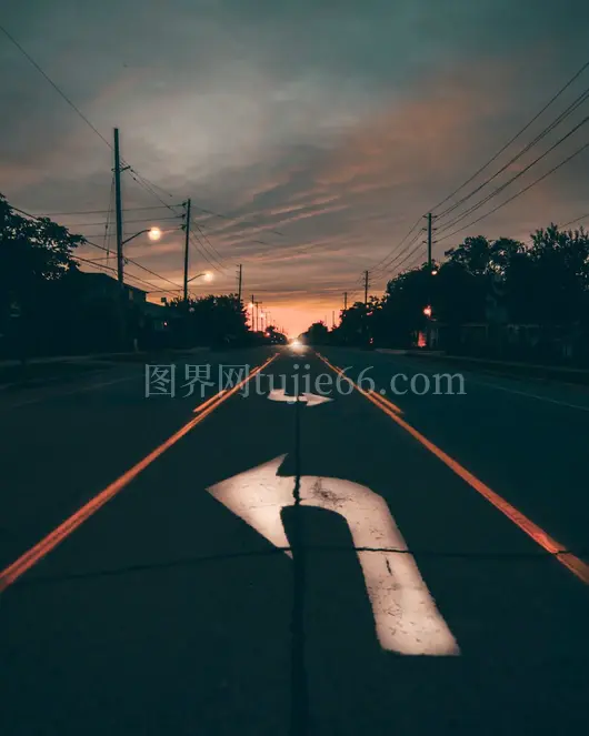 黄金时刻公路树木映衬景致