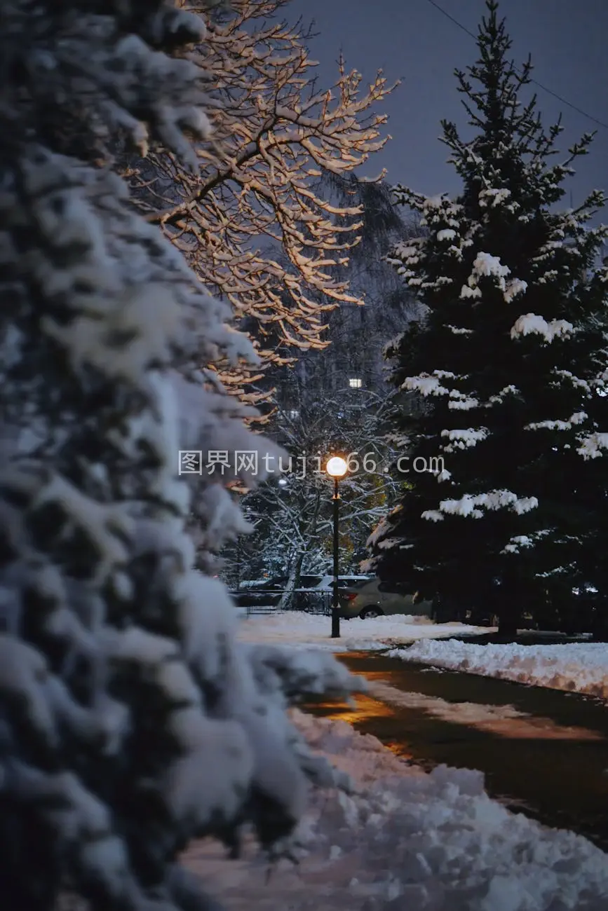 夜幕公园雪径灯影图片