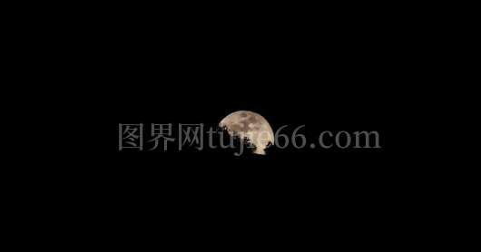 神秘编号揭秘：探寻905250的奥秘