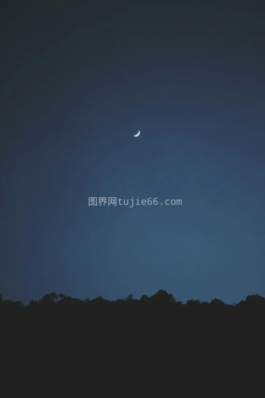 夜晚半月璀璨夜景图片