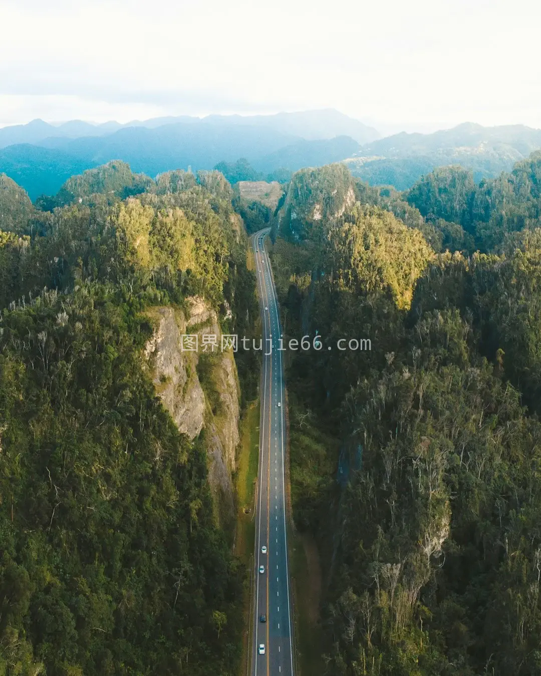 空中俯瞰白日绿树道景图片