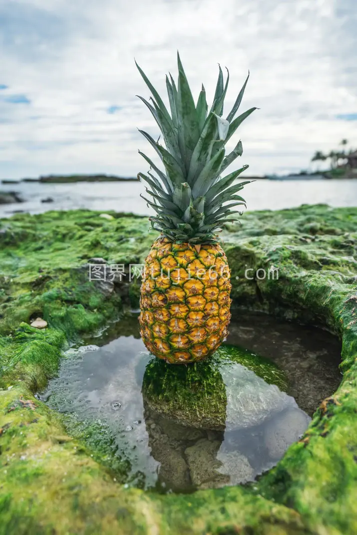 美食探秘佳肴汇聚图片