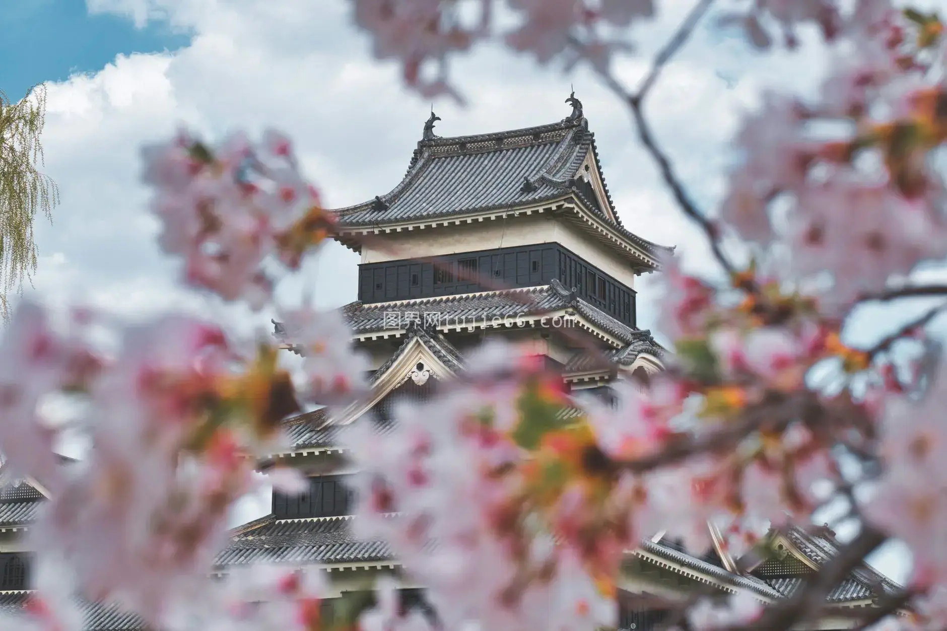 樱花古堡映春景图片