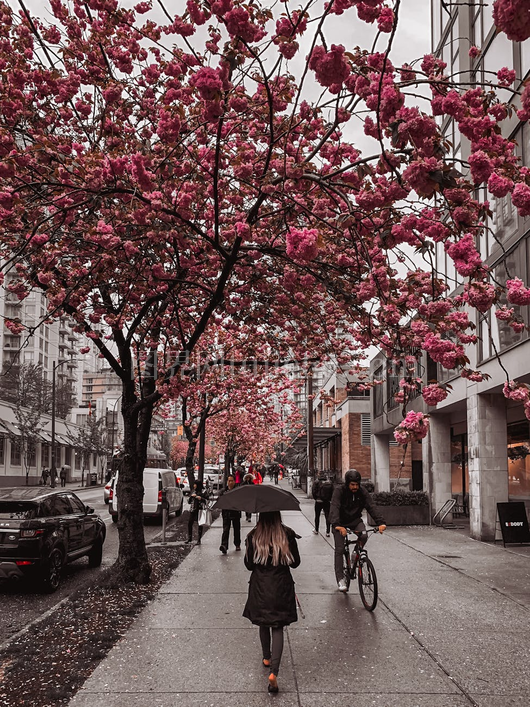 全身无脸行人雨中漫步盛树道