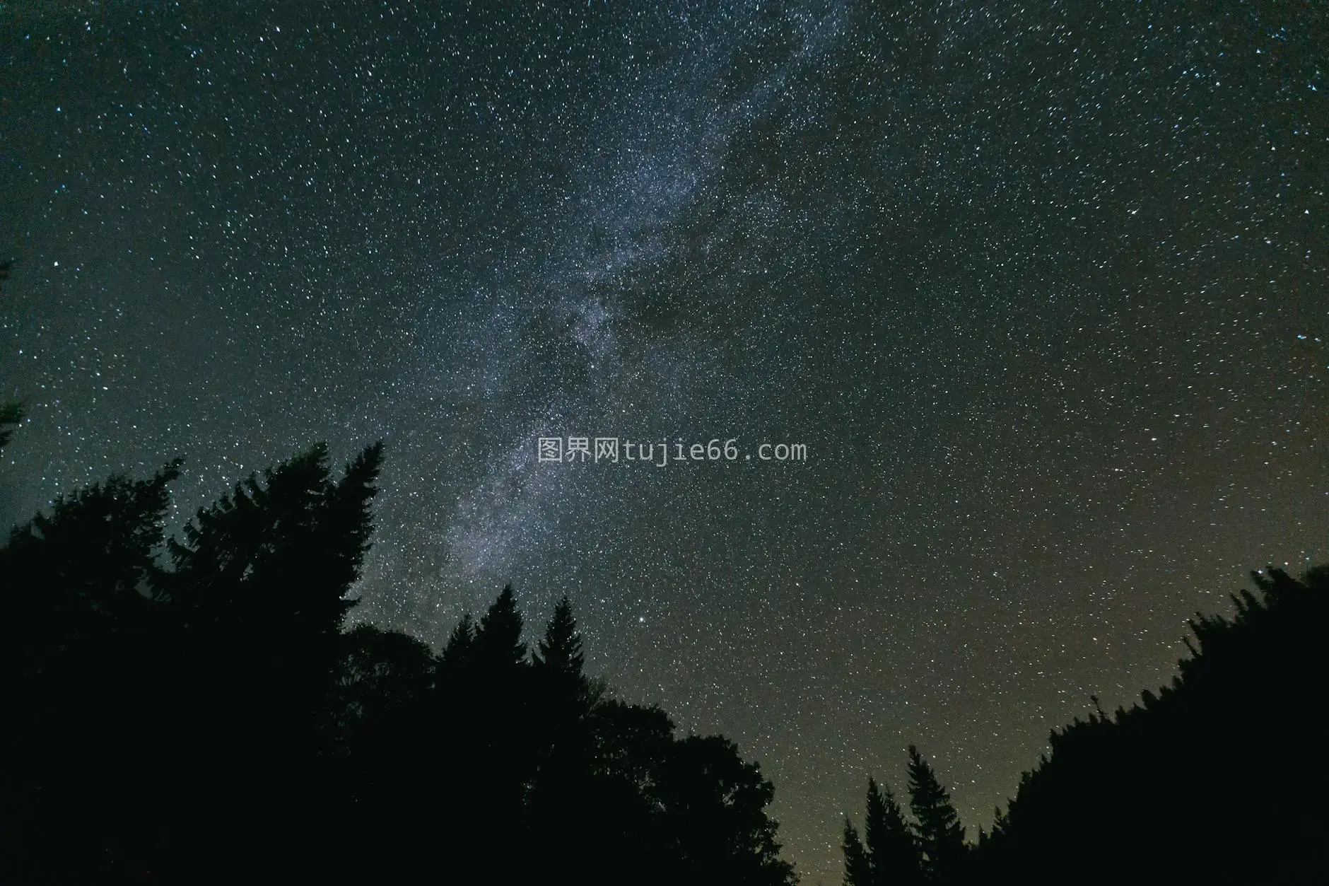 银河星空下剪影树影美夜色图片