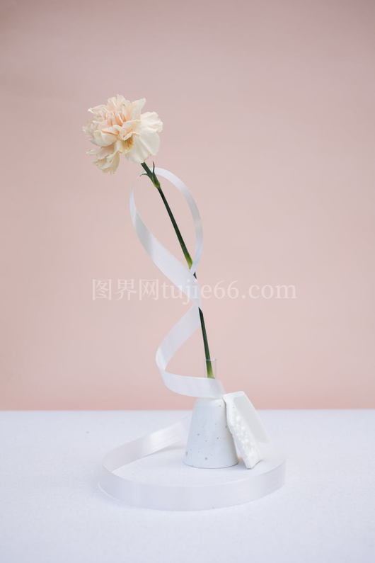 粉桃康乃馨绕丝带白瓶柔粉背景