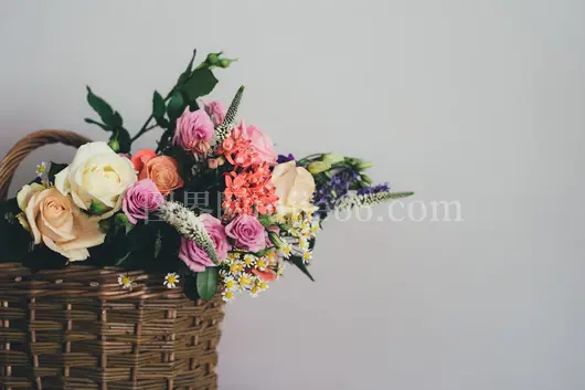 多彩花篮棕色柳编美图