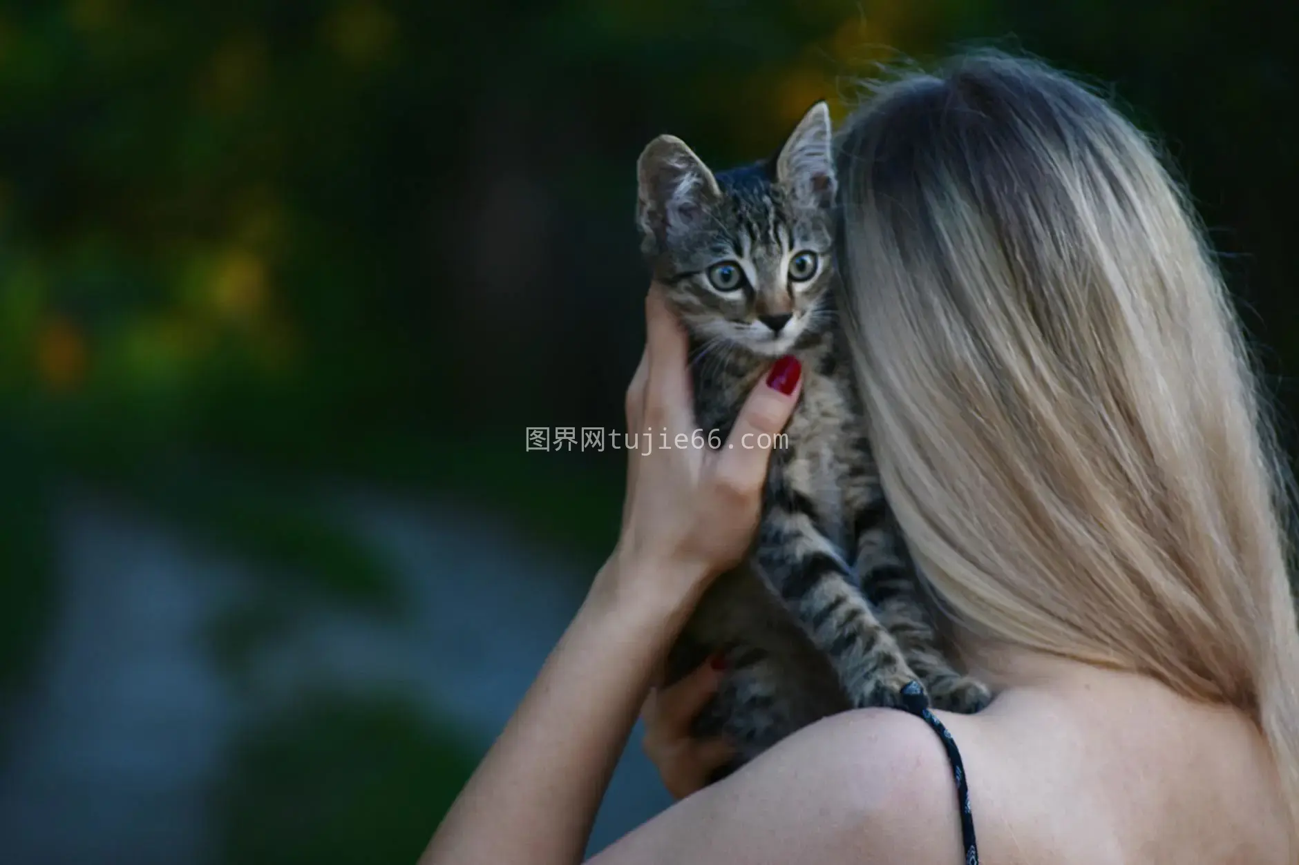 金发女子户外抱橘猫温馨时刻图片