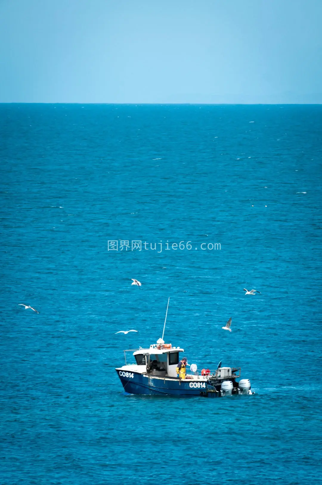 海面黑白船只白昼景致图片