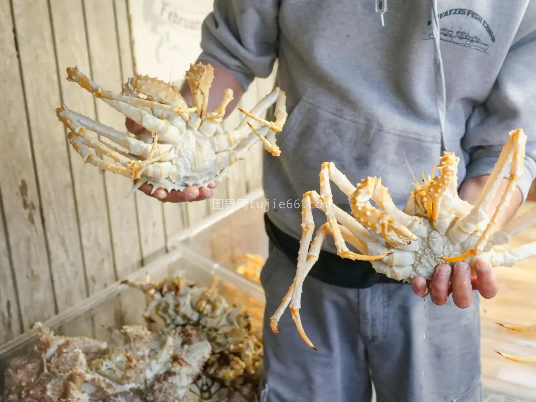 市场新鲜螃蟹烹饪佳选图片