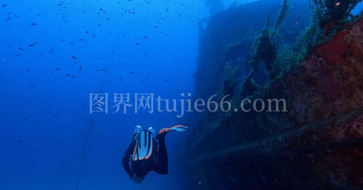 潜水员探索沉船奥秘
