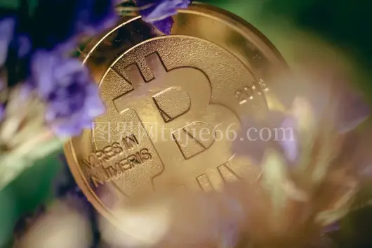 金币银币珍品亮相