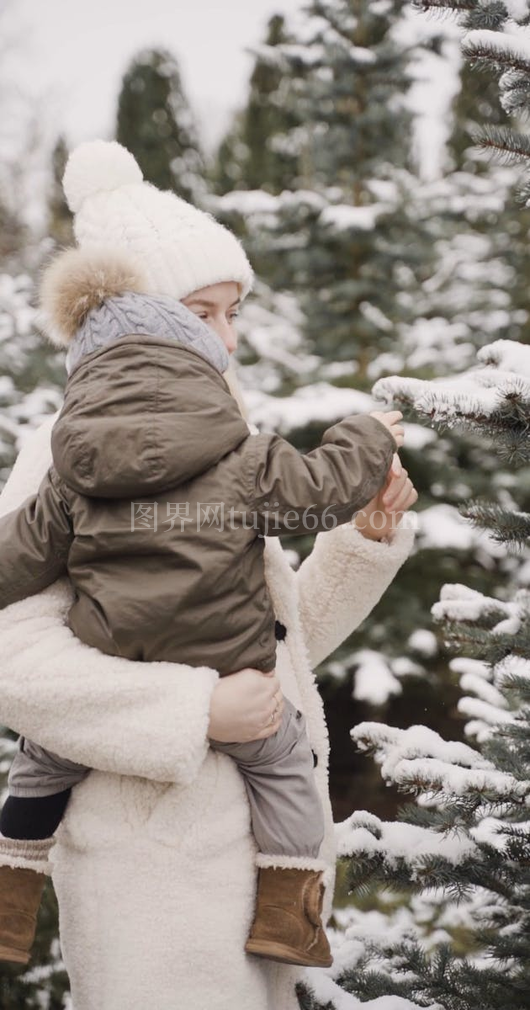 母子雪枝嬉戏图