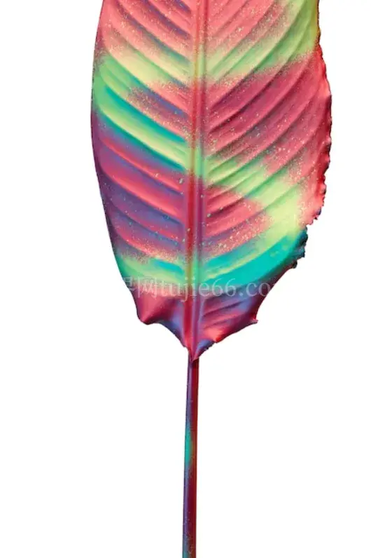 美丽多彩树叶景致