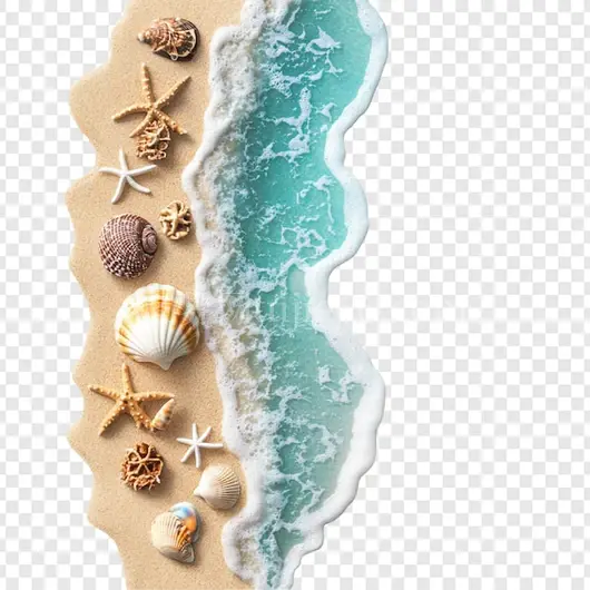 夏日海滩贝壳海浪美景