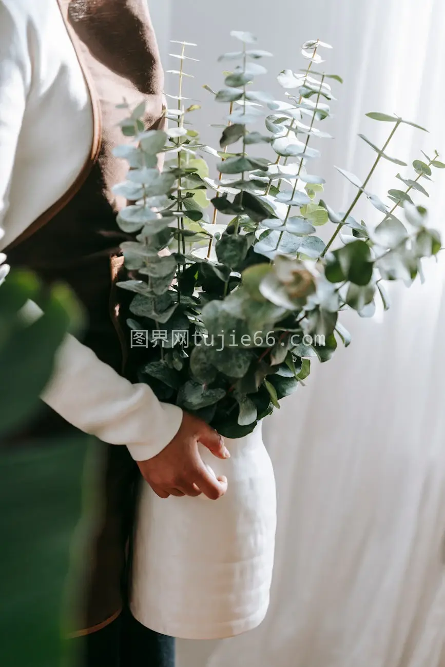 侧影女性围裙持花瓶绿植阳光下劳作图片