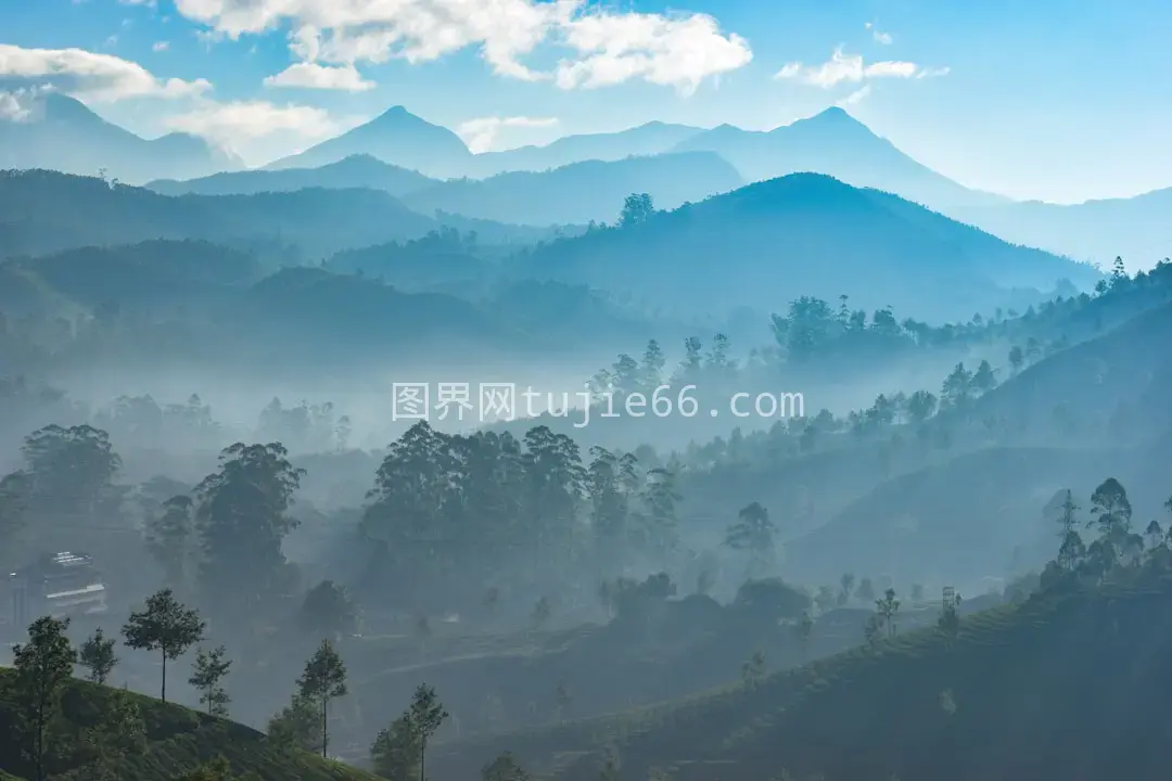 白天绿树群山景致图片